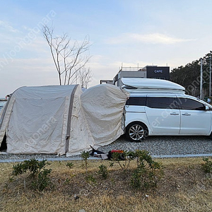 노스피크 에어도킹쉘터 소이밀크 팝니다