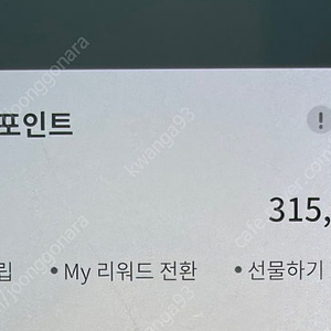 갤러리아 G캐시 31.5만원 (5%DC)