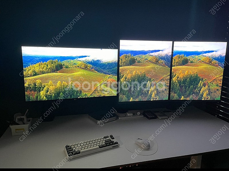 LG 듀얼업 28MQ780--0
