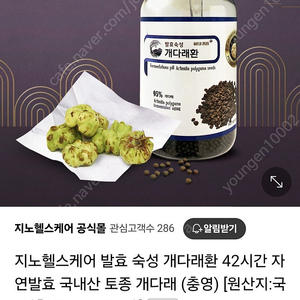 통풍에 좋은 발효숙성 국산 토종 개다래환 지노헬스케어(택포)