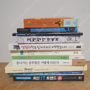 책 11권 묶음, 일괄 판매합니다.