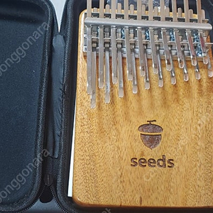 seeds 20키 칼림바