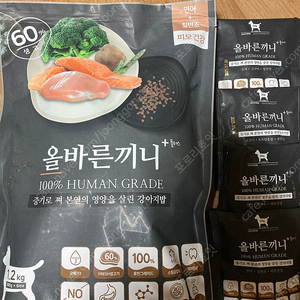 올바른끼니 사료 연어 칠면조 1.2kg