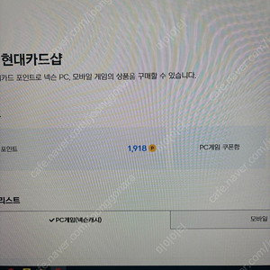 넥슨캐쉬 캐시 16만원