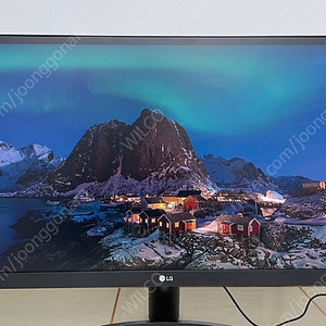 LG 29인치 와이드 모니터 21:9(29wk500)