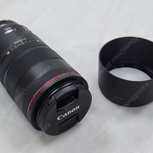 캐논 RF100mm F2.8L Macro IS USM 알백마 S급