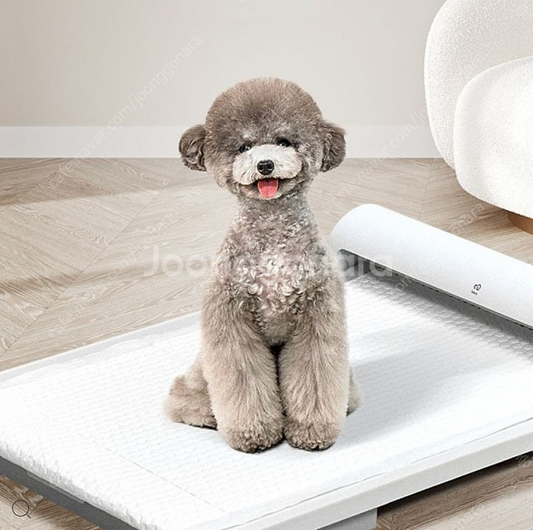 왈츠 펫토일렛 강아지 자동 화장실 본품--0