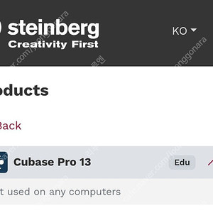 Steinberg 큐베이스 Cubase Pro 13 프로 팝니다