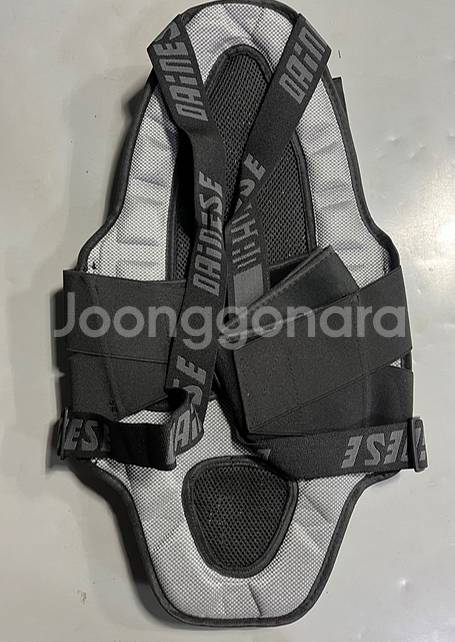 다이네즈 폭스 울프 레플리카 숏츠 및 가드 원가에 던집...--9
