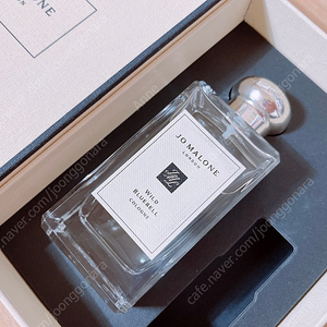 조말론 와일드블루벨 100ml