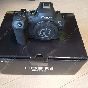 캐논코리아 정품 eos r6 mark2 바디, eos r10 18-45mm 번들셋 판매합니다.