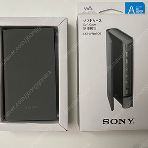 SONY NW-A306 케이스