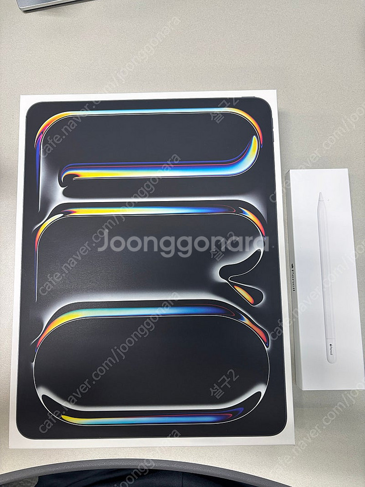 ipadpro13 wifi+ celluar 256GB--0