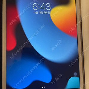 아니패드 미니4 셀룰어 64g