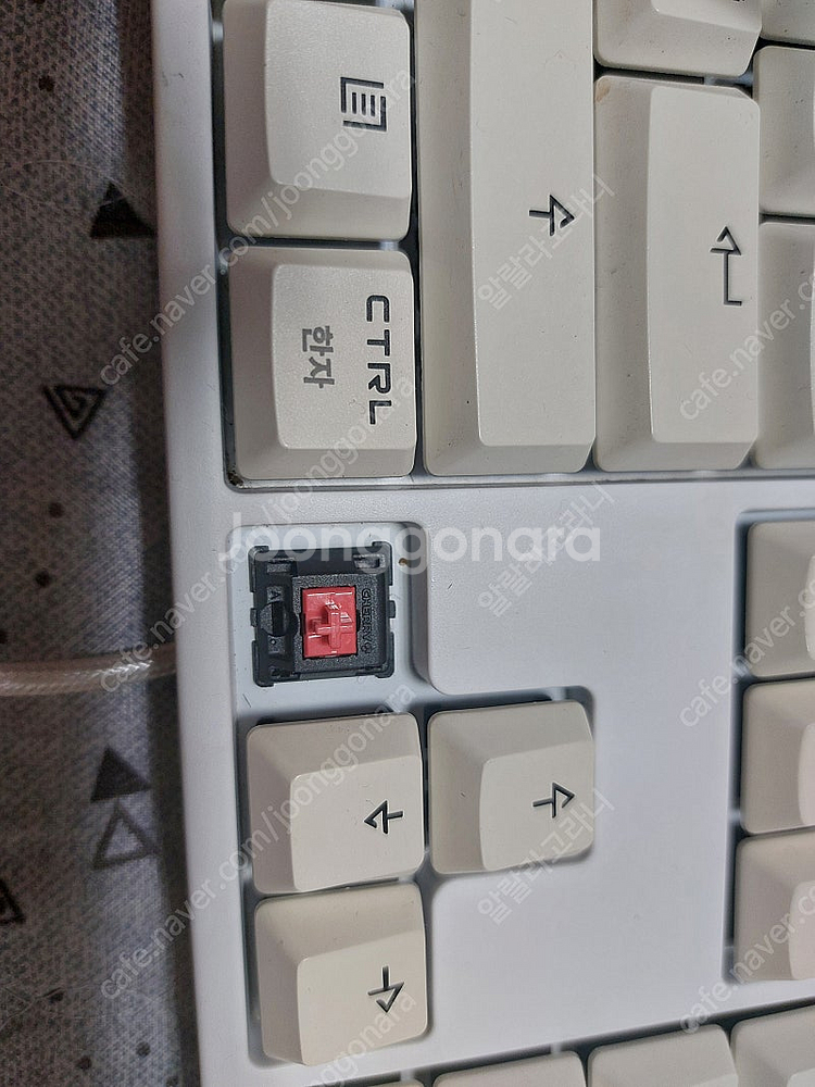 한성 키보드 GK787S 흰색 (적축)_변색 있음--5