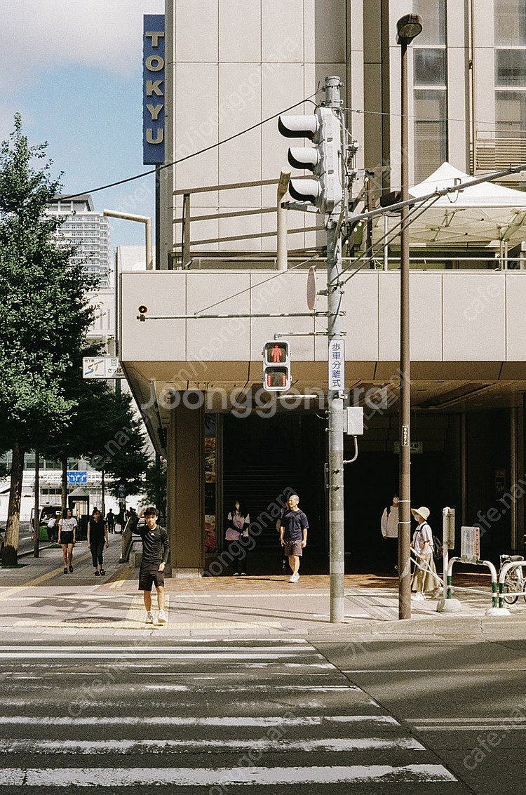 콘탁스 TVS, Contax TVS 판매합니다.--4