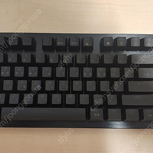 레이저 헌츠맨v3 pro tkl