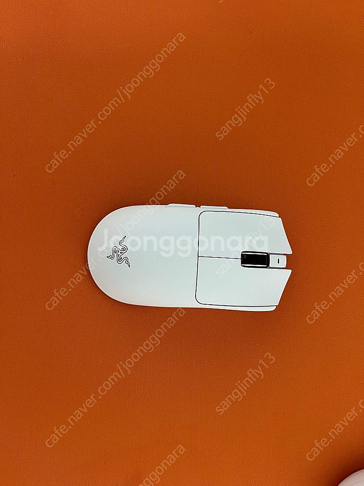 레이저 Viper v4 pro--1