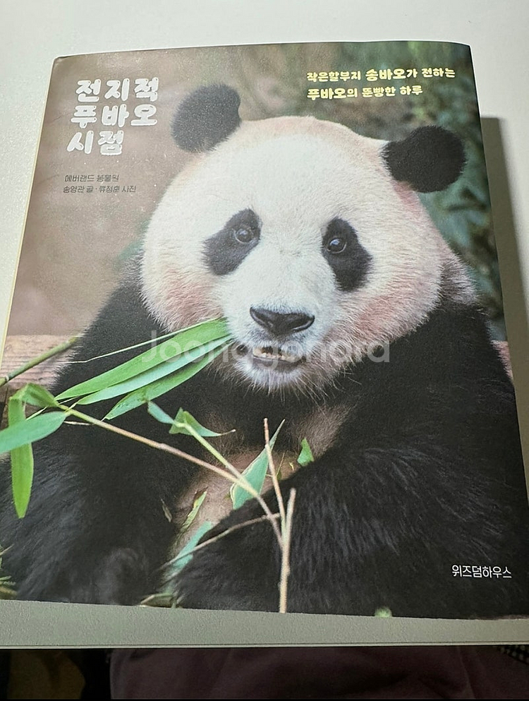 전지적 푸바오시점 책 팝니다--0