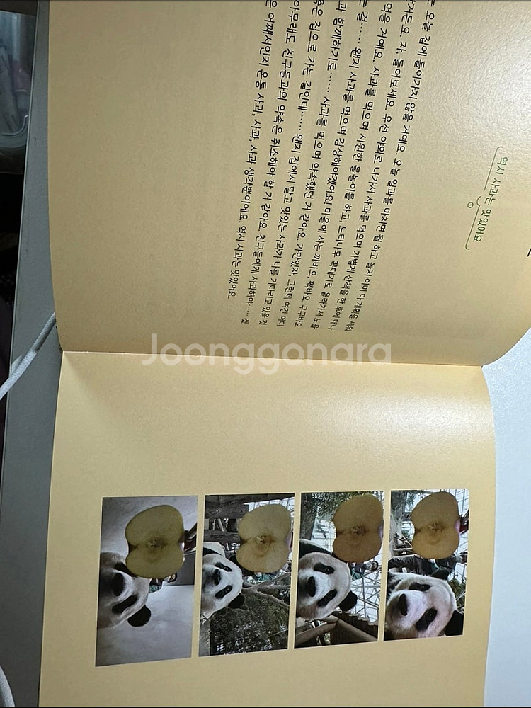 전지적 푸바오시점 책 팝니다--1