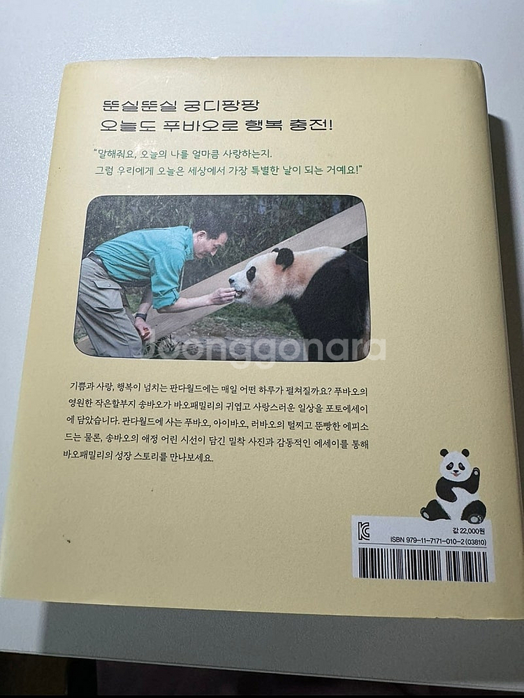 전지적 푸바오시점 책 팝니다--2