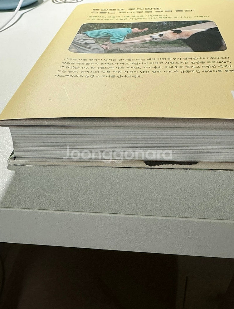전지적 푸바오시점 책 팝니다--3