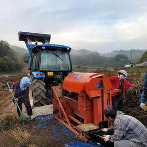 들깨팝니다