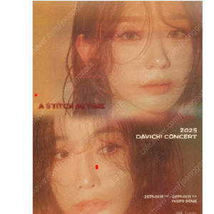 다비치 콘서트 2025 DAVICHI CONCERT 〈A Stitch in Time〉 2025.01.19 일요일 2연석 양도합니다