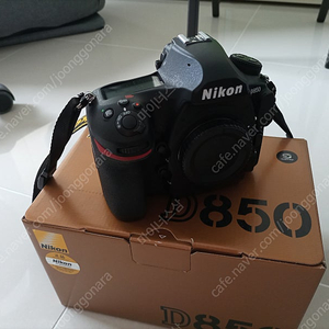 니콘 D850 + 탐론 24-70, 100-400 (신탐계륵, 탐백사) 일괄