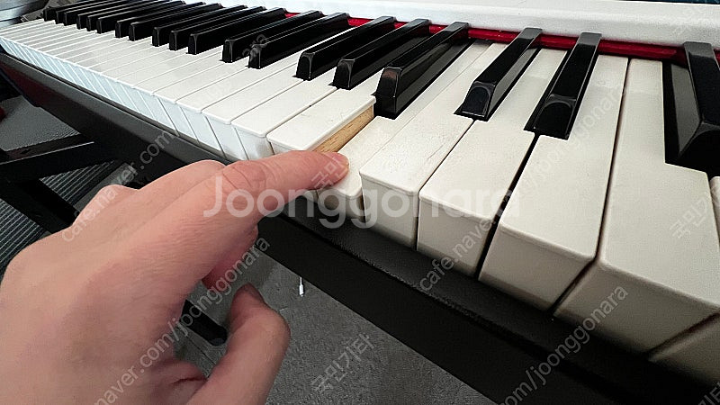 덱시벨dexibell vivo S9 88건반 (이태리)--3