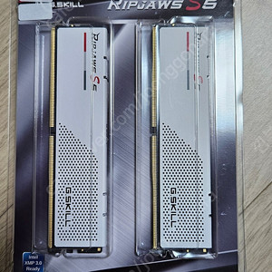 지스킬 ddr5 5600 CL30 RIPJAWS 32g