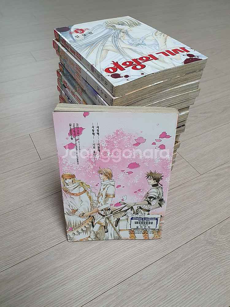 만화책 여왕의 기사--1