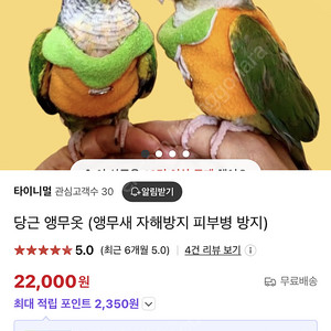 당근 앵무옷