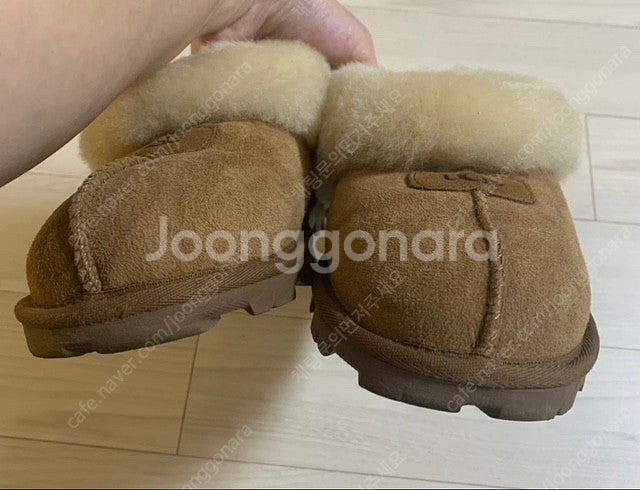 백화점 정품) 어그 코케트, 체스트넛6(230), 게런...--7