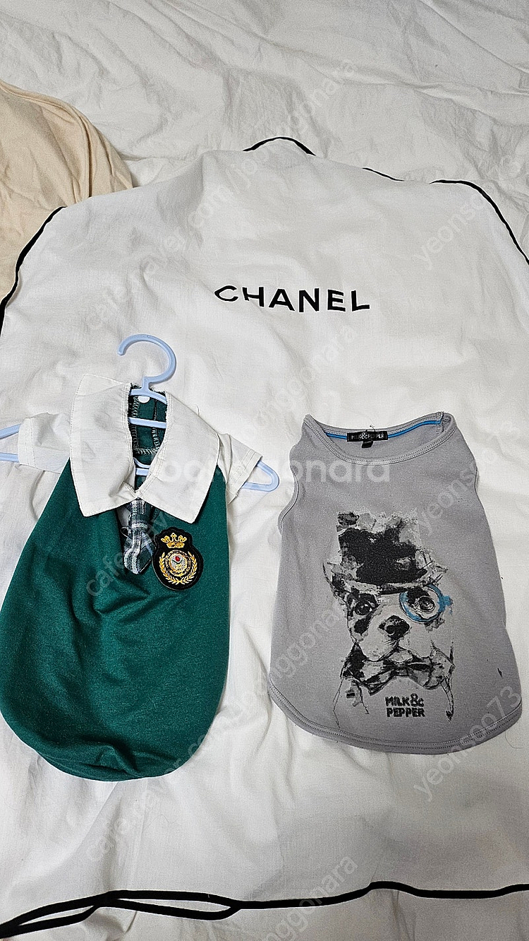 강아지옷 이츠독 옷들4종과 직수입옷등3종 일괄--3