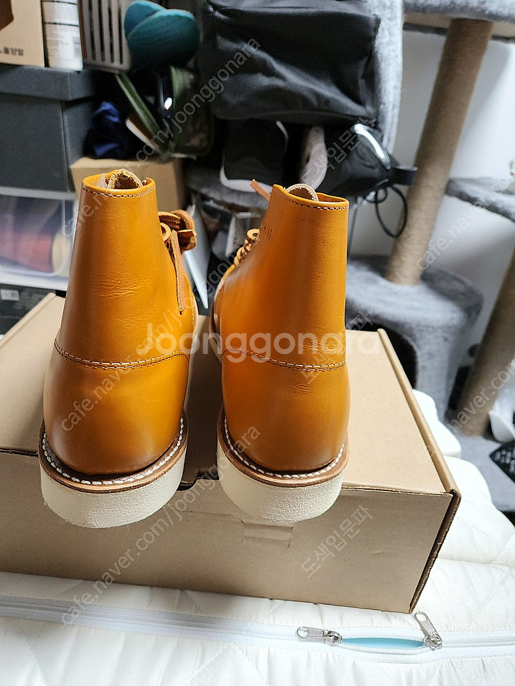레드윙 아이리쉬세터 9871 9D 270 새상품--2
