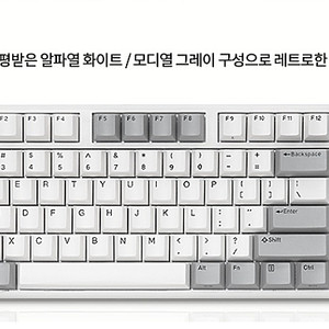 한성무접점 gk893b sports 투톤화이트 50g 미개봉