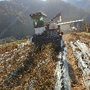 물 맑고 공기 좋은 경기도 양평 에서 농사지은 서리태 콩