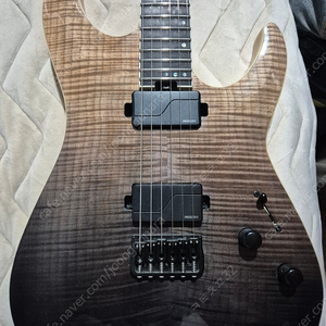 쉑터 c-1 elite schecter