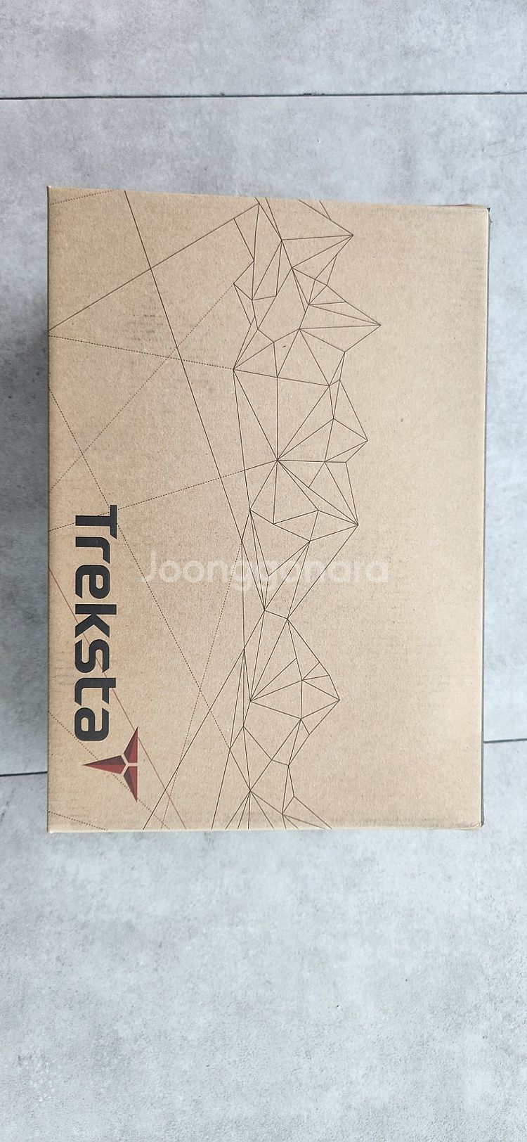 트렉스타 트레킹화 고어텍스 290--0