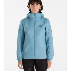 아크테릭스 아톰 lt후디 (스몰)