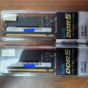 TeamGroup DDR5-5600 CL46 Elite 서린 (16GB) * 2