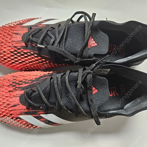 Adidas Predator 20.1 270 판매합니다