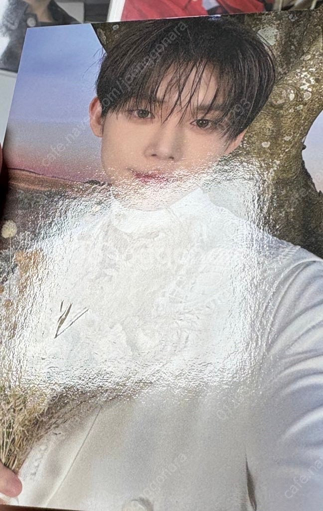 투바투 연준 포토카드 포카--2