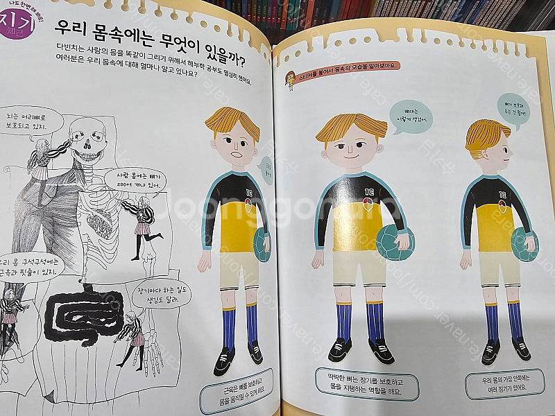 그레이트북스 신지인지기70권 +부록미사용 (평촌 직거래...--2