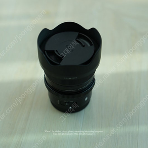 시그마 24mm F2 DG DN (소니FE 마운트) 렌즈 팝니다.