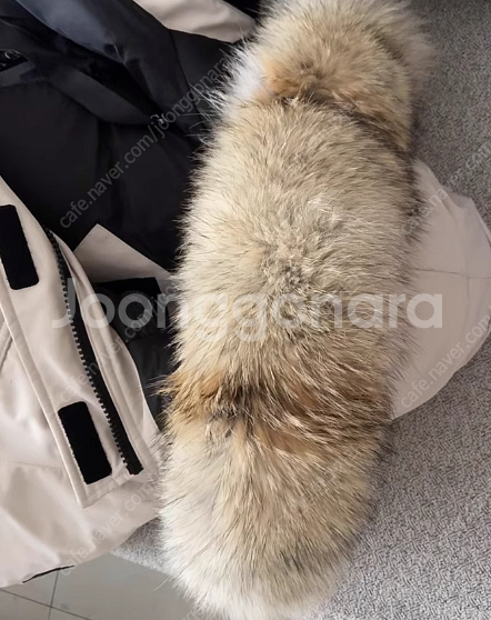 캐내다구스 무스너클 노비스 몽클레어 패딩 모자 퍼 털--3