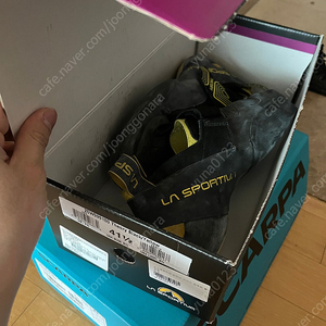 La Sportiva Theory 41.5