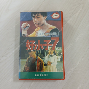 홍콩영화 협녀의 서풍 감독 좌효효 주연 호소자 7 (원제 : 타도관 / 打通關)(1990) 비디오 테이프