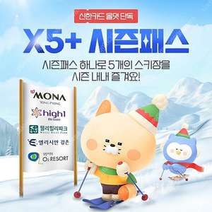 x5 시즌권 (미등록)